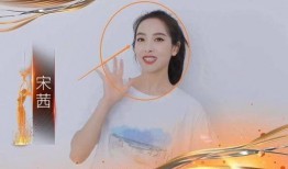 金鹰女生爆料视频大全最新,揭秘幕后精彩瞬间